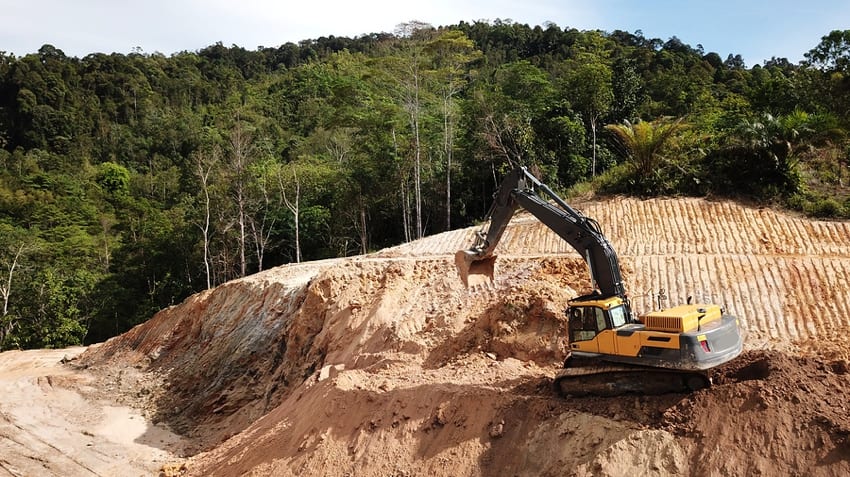 Deforestation in Borneo