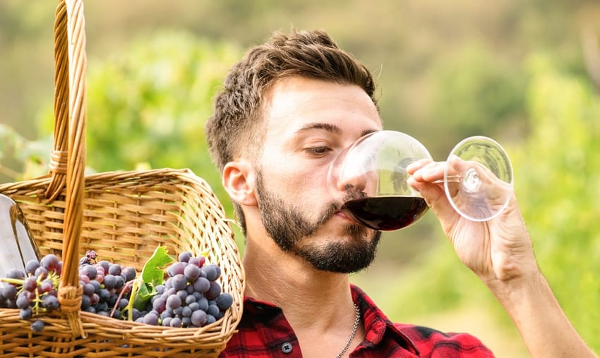 Wine Tasting in a Vineyard