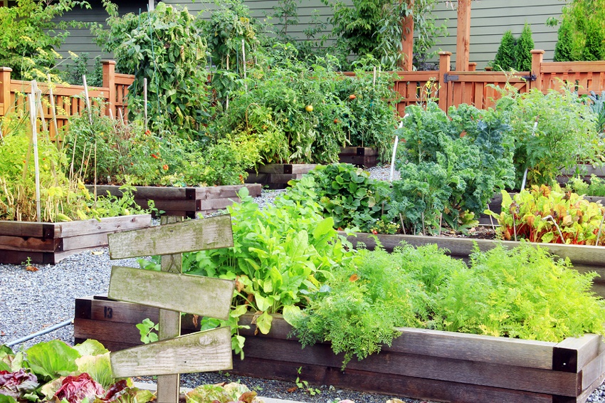 Community garden