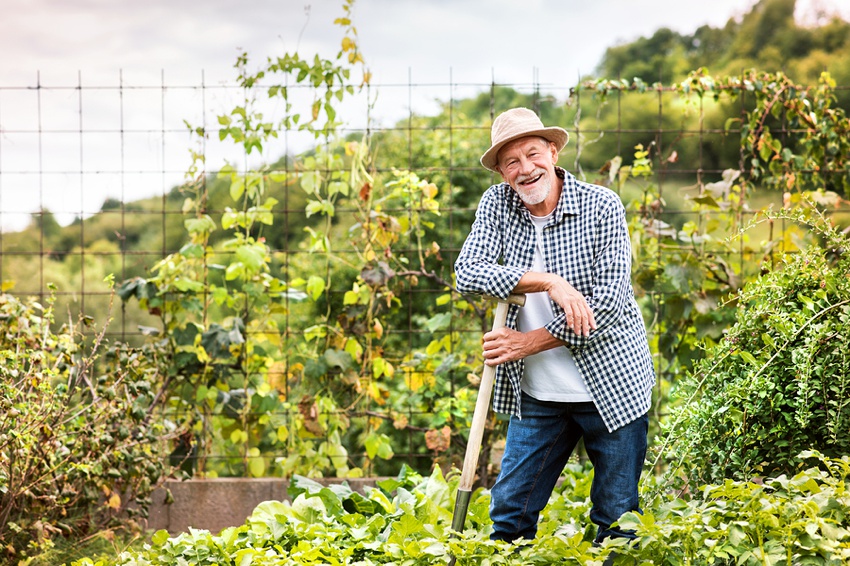 Man gardening