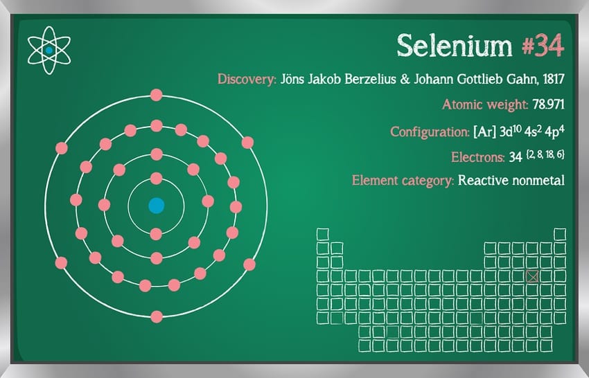 Selenium Chemistry