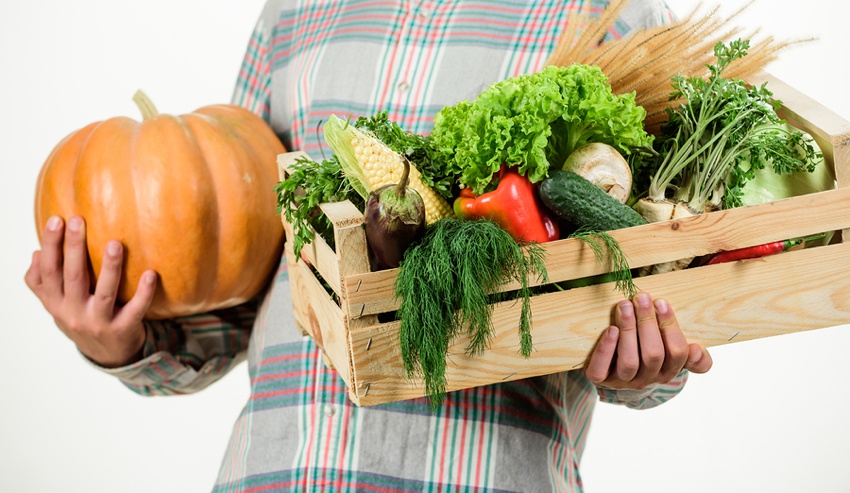 Vegan vegetable box