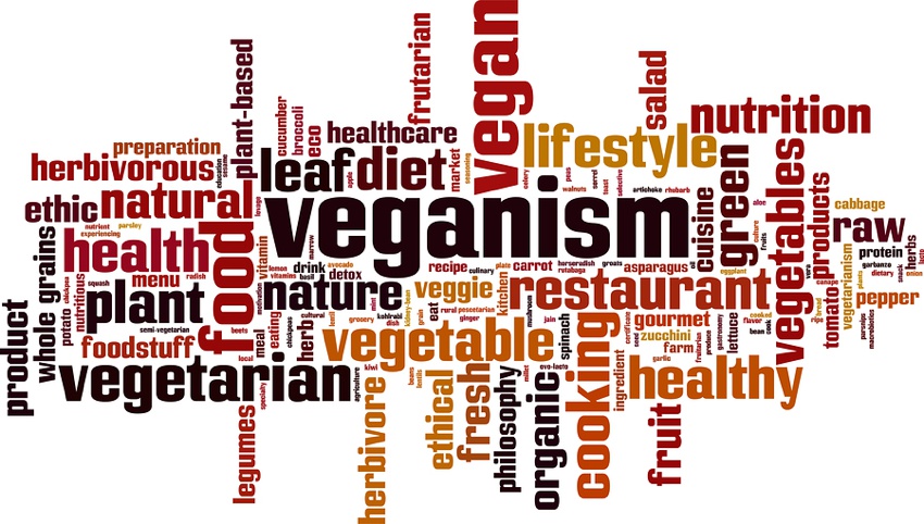 Veganism Word Concept