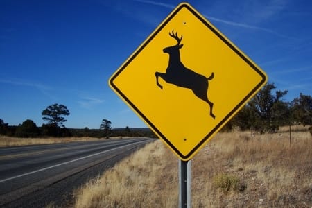 Deer crossing road sign