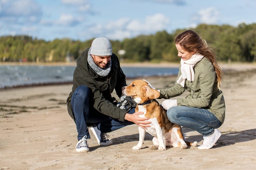 Couple with their rescue Beagle