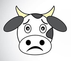 Sad cow