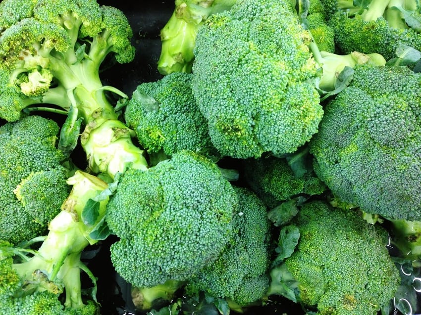 Broccoli