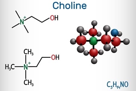 Choline Chemical Structure