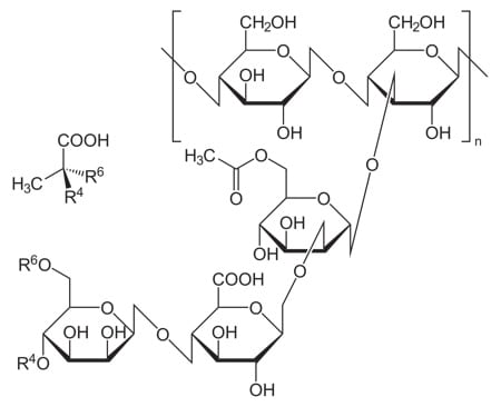 The chemical structure of Xanthan Gum