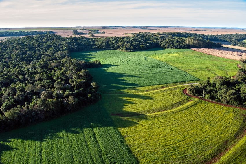 Deforestation of rainforests for soy bean fields