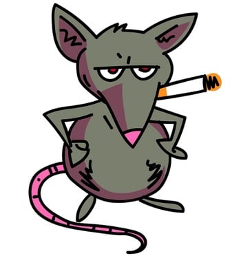 Rat smoking cigarette