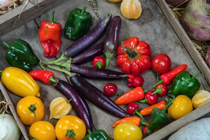 Aubergine, peppers & tomatoes