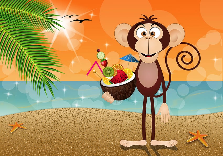 Monkey coconut cartoon