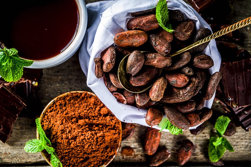 Cocoa beans and powder