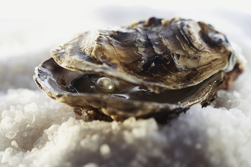 Fresh oyster with pearl inside