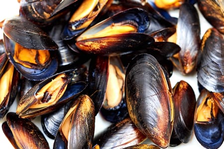 Muscheln in der Schale