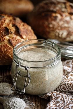 Sourdough starter