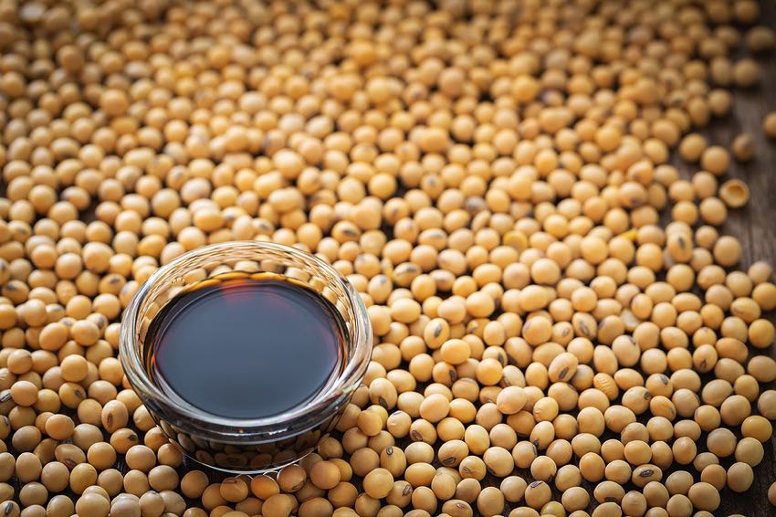 Soy sauce with soy beans