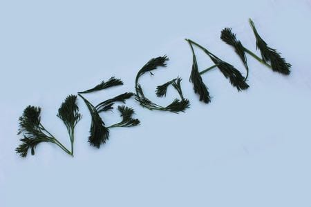 Vegan spelled out in dill & herbs