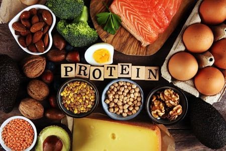 Plant vs Animal Protein