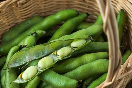 Fava beans in basket