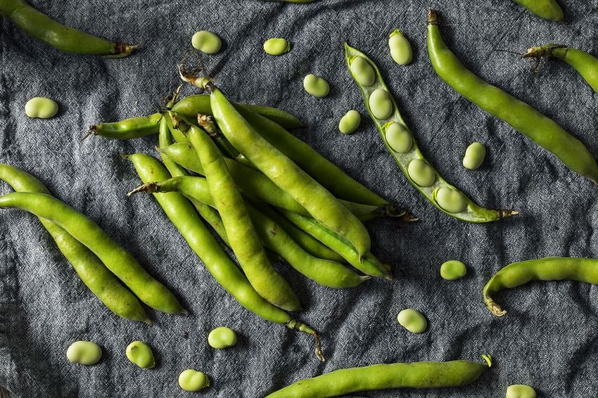 Fava beans on slate