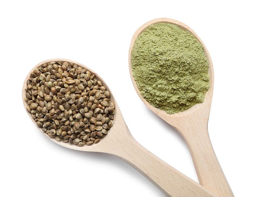 Hemp protein powder is made from hemp seeds