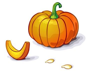 Pumpkin seed cartoon