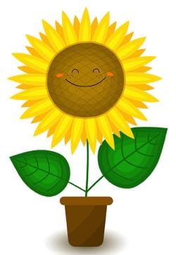 Smiling sunflower cartoon