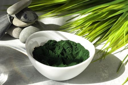 Algae Protein Powder