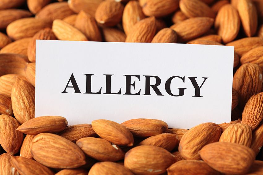 Almond allergy