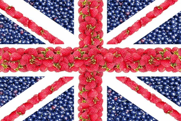 which-country-has-the-most-vegans-veganfriendly-uk