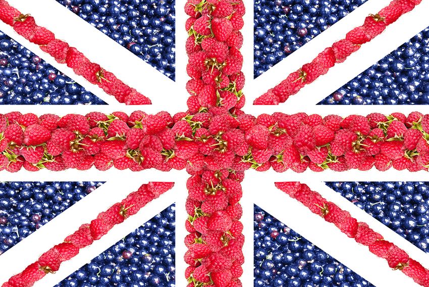 Union jack with fruit