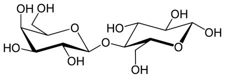 The chemical structure of Lactose