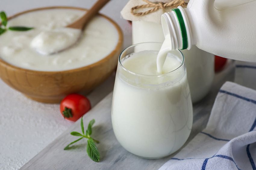 Kefir made with dairy milk